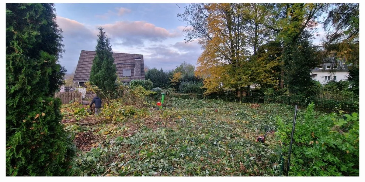 Verwilderter Garten vorher und nachher – nachher