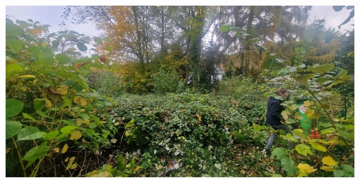 Verwilderter Garten vorher und nachher – vorher