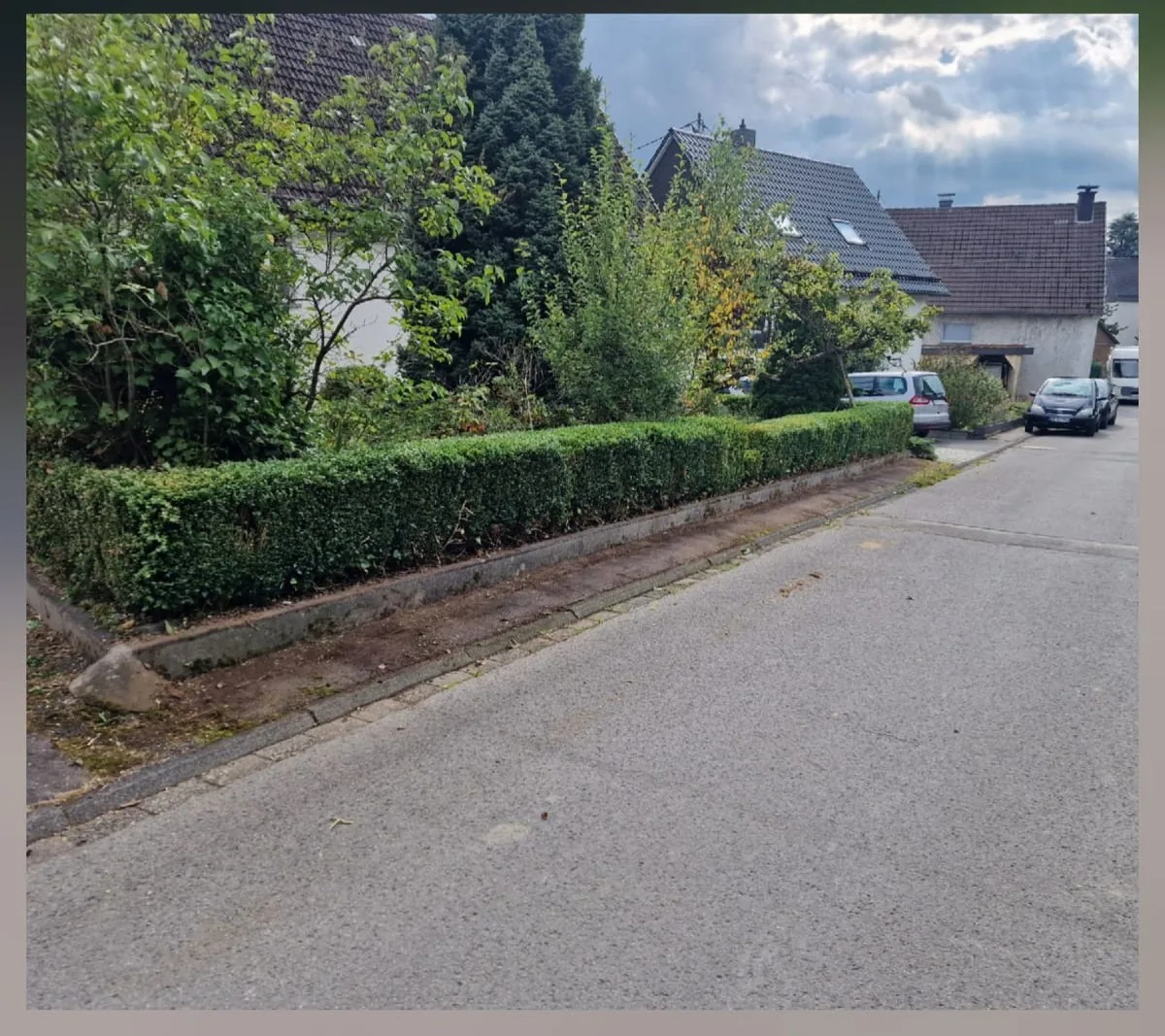 Straßenhecke Herbstrückschnitt vorher und nachher – nachher