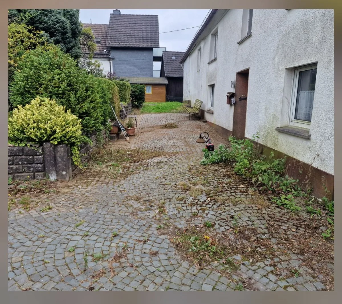 Hoffläche vorher und nachher – überwachsen und freigeschnitten – nachher